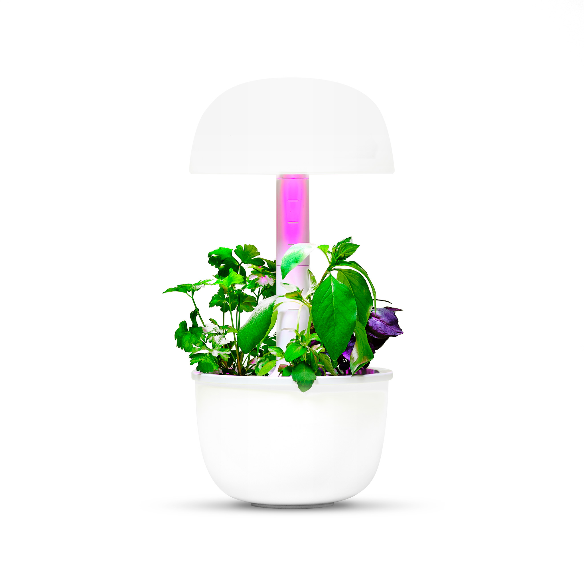 Smart Garden Plantui